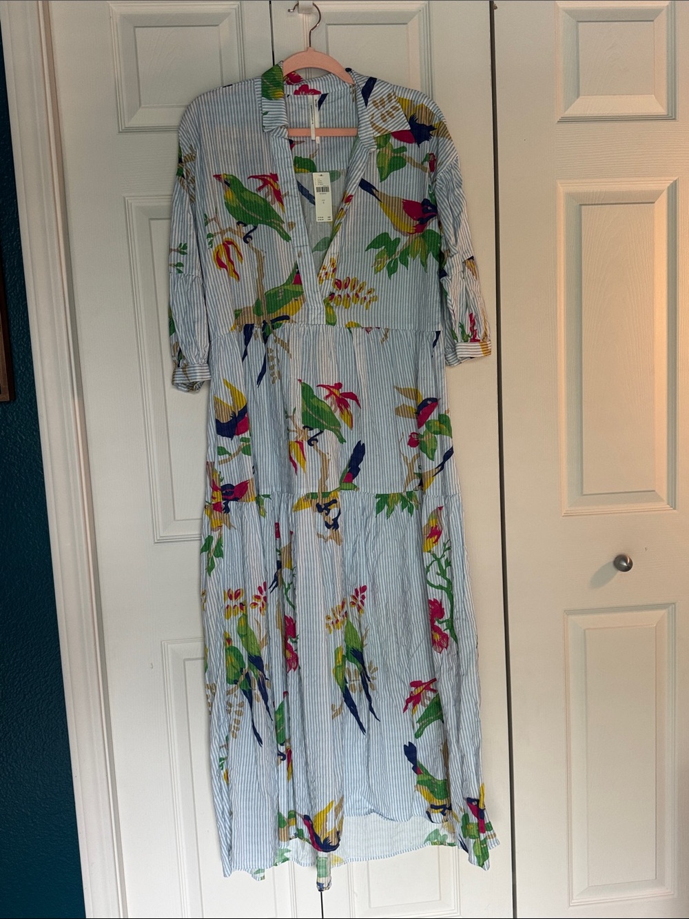 Anthropologie Light Blue Striped Maxi Dress with Colorful Parrot Print